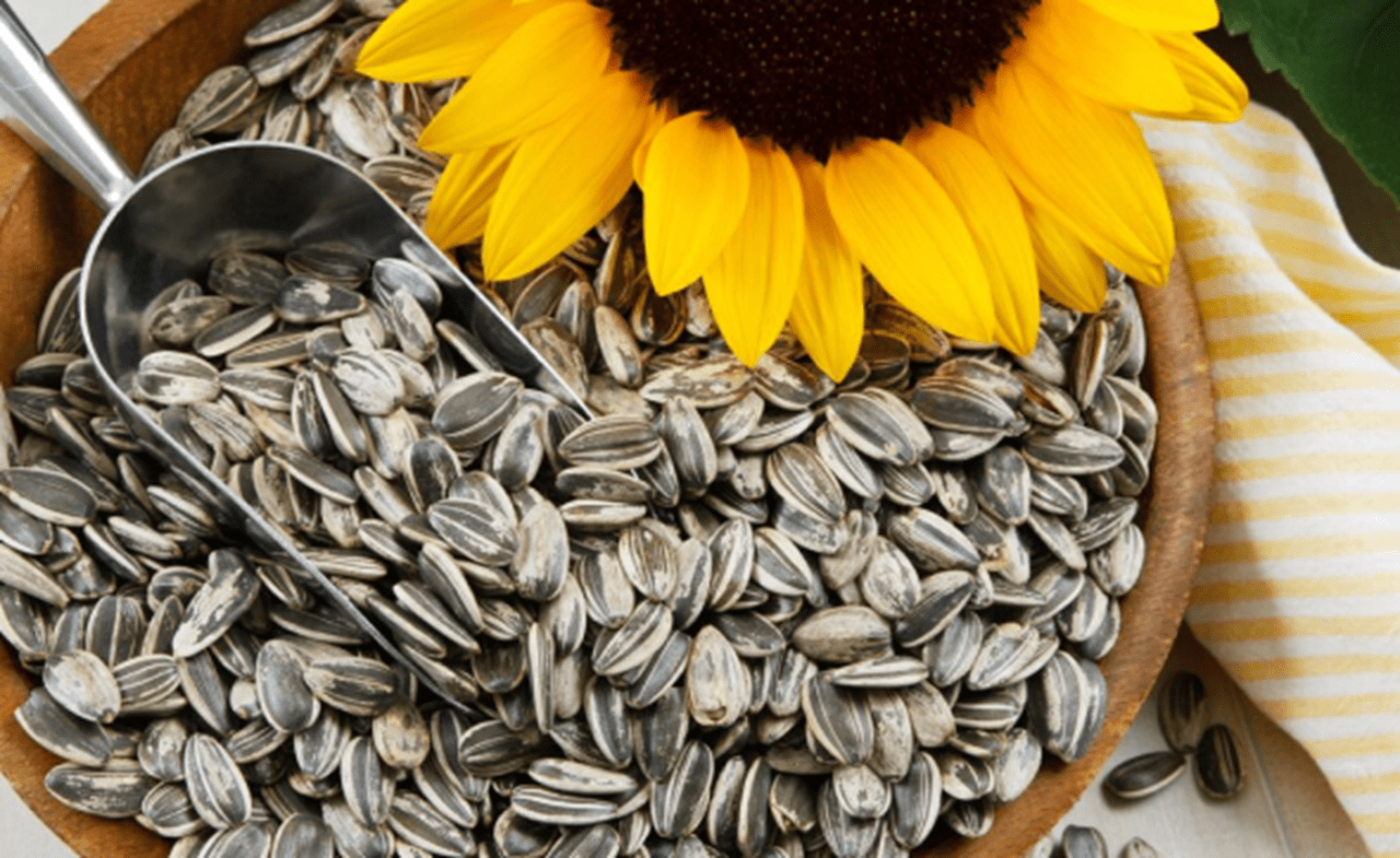 Responsible sourcing